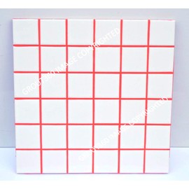 Grout 360 Ragin' Red Sanded Tile Grout for Tile Installation Jobs. Use on Floors, Walls, Back Splashes, Showers, and Mosaics. (5)