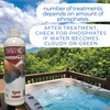 Waters Choice Concentrated Spa Phosphate Remover - 12 oz -