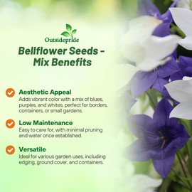 Outsidepride Carpatica Mix Bellflower Seeds for Planting - 5000 Pcs Perennial Mat-Forming Flower Seeds with Bell Shaped Blooms & Low Growth Habit for Edging Pollinator Gardens, Containers, & Borders
