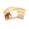 JuNa-Experten A5 Letter Paper Set with Envelopes Children Horse for