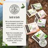 Numi Organic Tea Jasmine Green, 18 Count (Pack of 3)