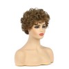 Womens Blonde Brown Short Fluffy Curly Wig for Daily Party