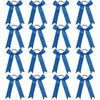 Long Tail Glitter Cheer Bows 16 PCS Collegiate Style Cheer