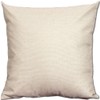 Aoli's Decor Cotton Linen Decorative Home Decorative Accent Throw Pillow