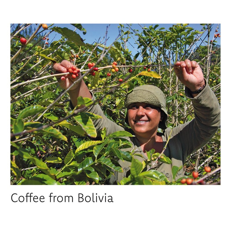 Fair Squared Body Lotion, Coffee