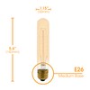 Xtricity T9 Vintage Incandescent Amber Filament Bulb, Radio Tube, Edison