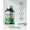 Mastic Gum 1500mg Antioxidante Salud Digestiva 100 Americano