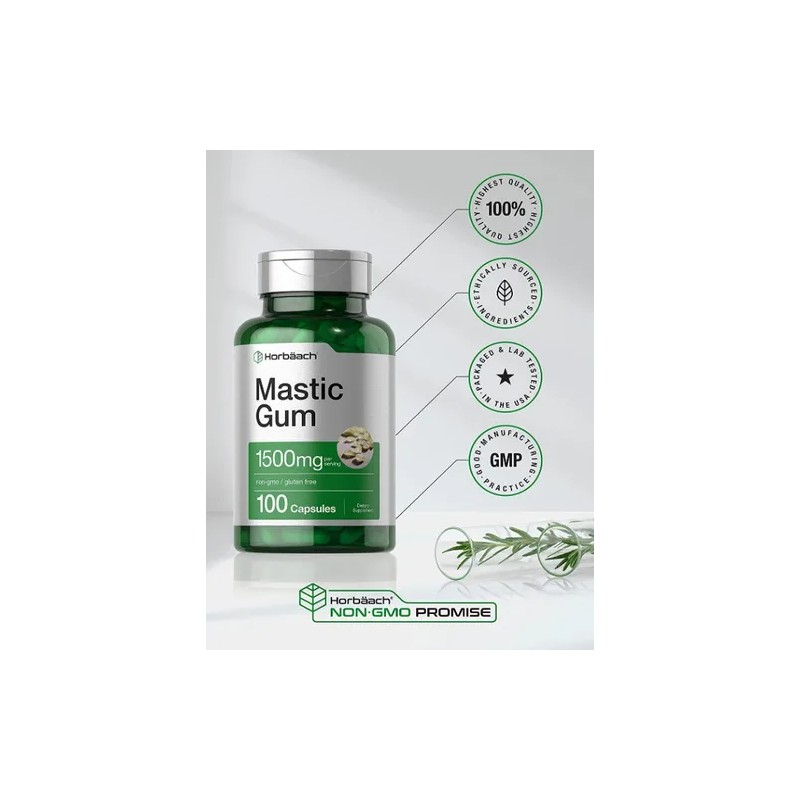 Mastic Gum 1500mg Antioxidante Salud Digestiva 100 Americano