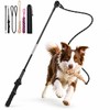 DEPURE Flirt Pole for Dogs,Heavy Duty Interactive Chase & Rope