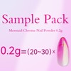 PrettyDiva Sample Pack Aurora Chrome Nail Powder Small Sample 0.2g/Jar