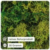 Netuno Decorative Moss Dark Green 30 g Natural Moss Reindeer