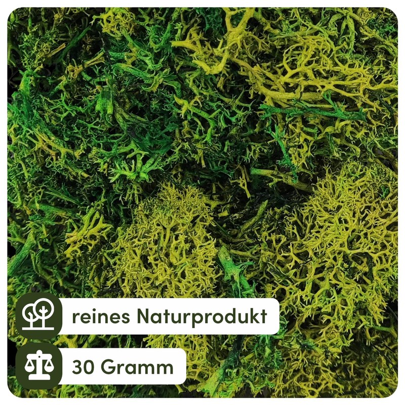Netuno Decorative Moss Dark Green 30 g Natural Moss Reindeer