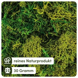 Netuno Decorative Moss Dark Green 30 g Natural Moss Reindeer Moss for Crafts and Decorating Model Making DIY Real Moss Iceland Moss Craft Moss Easter Decoration Christmas Decoration Floristry