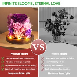 Valentines Day Gifts for Her, Real Eternal Forever Preserved Roses Flowers for Delivery Prime Birthday Gifts for Women Girlfriend Wife Friend Sister Grandma Mom Gifts Anniversary Christmas Mothers Day
