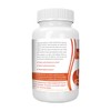Logic Nutra Mastic Gum Supplement