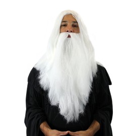 WIG ME UP - PW0210-P60 Perücke & Bart Set: Weißer Zauberer Hexer White Wizard