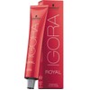 SCHWARZKOPF PROFESSIONAL - IGORA - ROYAL PERMANENT HAIR COLOUR -