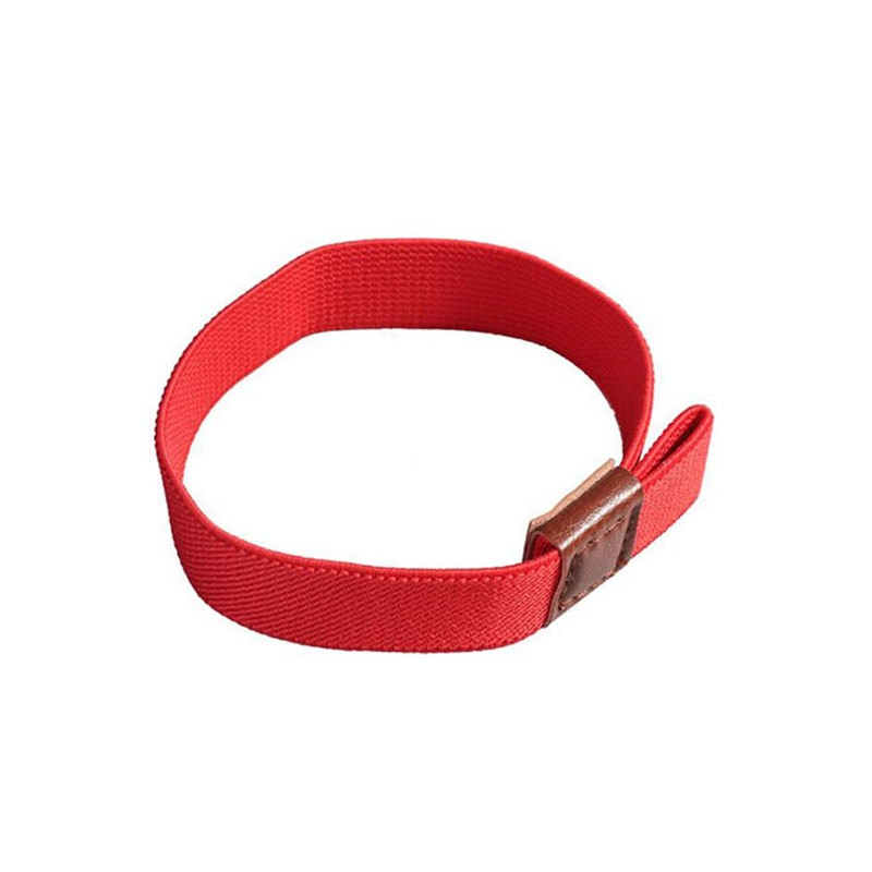 Hilsayum 10Pcs Lunch Box Elastic Belt Decorative Bento Straps Lunch