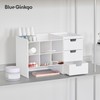 BLUE GINKGO Hive Stack Desk Organizer – Stackable Pen Holder,