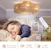 Bewishing 20'' Boho Gold-Colored Rattan Fandelier with Light & Remote