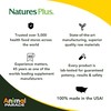 NaturesPlus Animal Parade Source of Life Liquid Vitamin D3 Drops