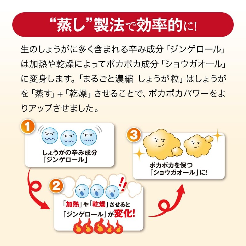 山田養蜂場 まるごと濃縮しょうが粒 60粒袋入 しょうが