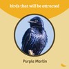 Birds Choice Premium Aluminum Purple Martin House – 8 Room,