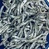 Economical Boiled Canibinago (Medium Streak: Approx. 1.6 - 2.0 inches
