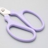 Sakagen 20382 Fresh Flower Shears, Mini Creation F, Fluorine Coating,