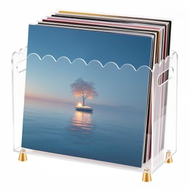 Swiscena Acrylic Vinyl Record Holder,Vinyl Record Storage with Luxe Gold Metal Feet and Scalloped Edge Design, Portable Handle, Space-Saving Organizer for 7/10/12 Inch LP Records