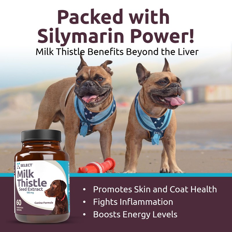 K9 Select Milk Thistle for Dogs, 100mg - 60 Vegetable