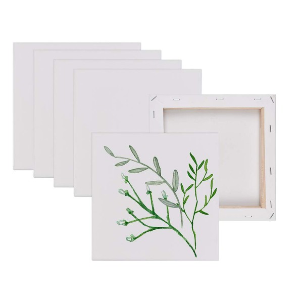 FOROREH 6 Pieces Canvas Frames 15 x 15 cm, Painting