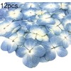 12Pcs Blue Preserved Dried Flowers Plant,Wide Applications Dried Pressed Flowers