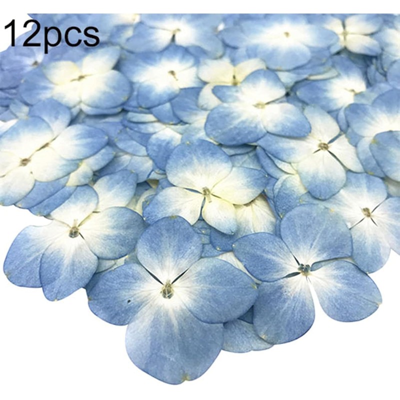 12Pcs Blue Preserved Dried Flowers Plant,Wide Applications Dried Pressed Flowers
