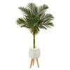 Nearly Natural 5ft. Golden Cane Artificial Palm Tree in White