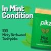 pikz Flavoured Toothpicks – Bold Natural Flavours, Resealable Packs –