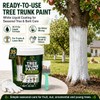 Tree Paint, 35 Oz White Trunk Paint Protection for Fruit,