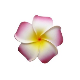 Generic 3pcs 3.5 Inch Women's FashionHawaiian Plumeria Flower Foam Hair Clip, 90mm (Pink, White, Yellow) Fashion Headpiece