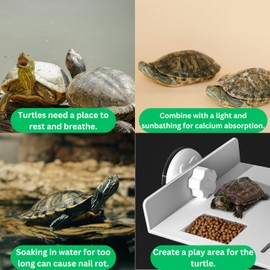 PurrrfectionPet Turtle Basking Platform and Training Skateboard Set for Aquatic Turtles with Suction Cups Skateboard, Tortoise Tank Habitat Accessories, Reptile Animal Essentials (Transparent)