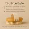 Cepillo Corporal exfoliante 100% Natural Suave, Libre de Plástico, Mango