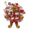 Plush Gingerbread Wreath Accent (5 pc) Wreath Decor Kit