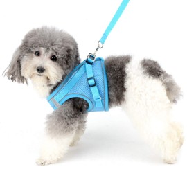 Zunea Dog Harness and Lead for Small Dogs Puppies Adjustable Reflective Chest Harness Soft Mesh Cat Harness Escape Proof for Puppia Chihuahua Girls and Boys Blue XS