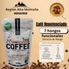 Mushrooms Coffee 7 en 1 Caf Soluble con 7 Hongos