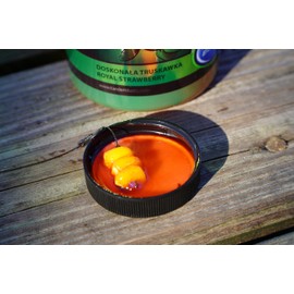 Tandem Baits Carp Food Attract Dip Ripe Mulberry, Carp Fishing without Effort, Bait for Large Fish Fishing, Carp Accessories for Professionals & Hobby Anglers, 100 ml