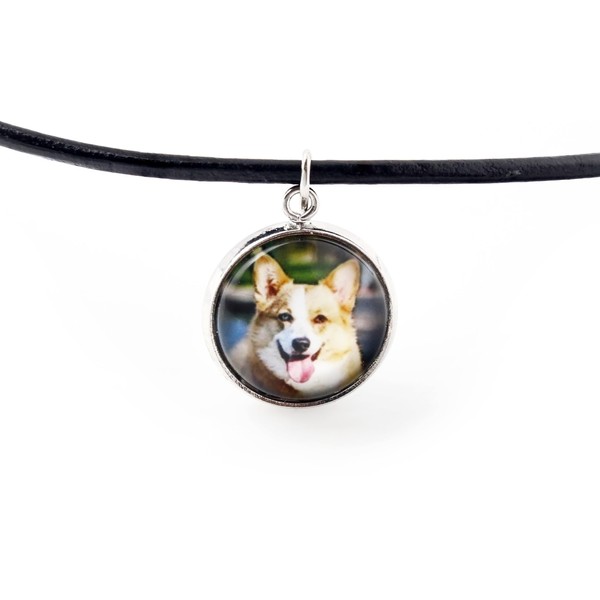 Art-Dog Art dog collar with dog photo, handmade collar with