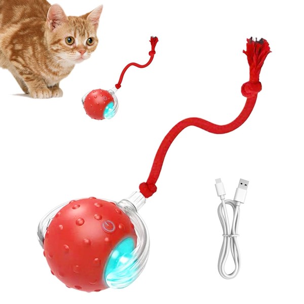 Indoor Cat Interactive Ball | Chirping Lighted Self-Moving Cat Ball
