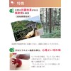 Ikegawa Wood Industrial Sheet Cutting Board, Natural, S, Cypress Cypress