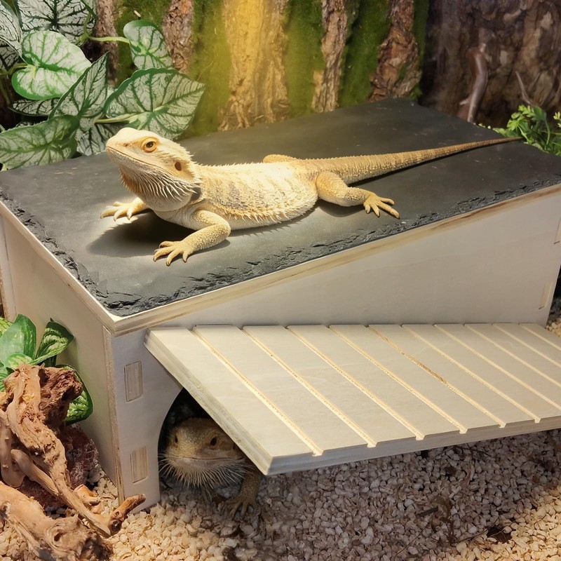 Gxsdj Large Bearded Dragon Basking Platform,Wooden Reptile Hide Cave with