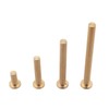 Ruiwaer 4PCS Golf Brass Tip Weights Plug Insert Fit Carbon