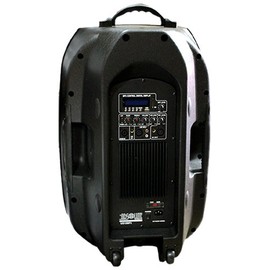 Absolute USA US15BT 2-Way 15-Inch Portable Speaker